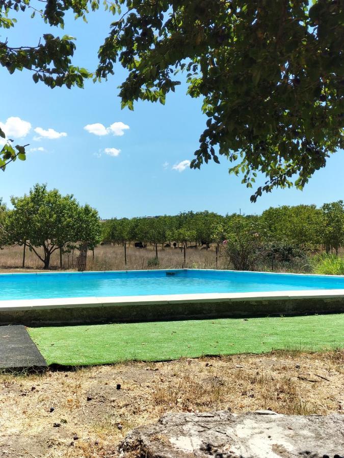 Rod Ranch Livestock - Stanza Doppia Con Letti Singoli Villa Campagnano Di Roma Exterior photo